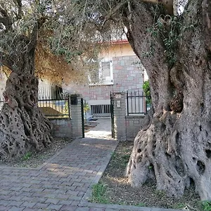 La Casa Degli Ulivi Appartamento Turri